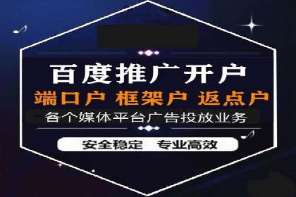 案例对比：不同竞价广告平台的优劣